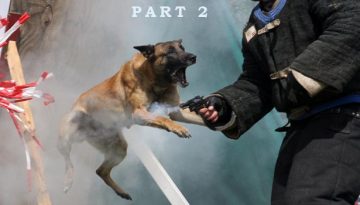Αστυνομικοί σκύλοι – Κ9, μέρος 2