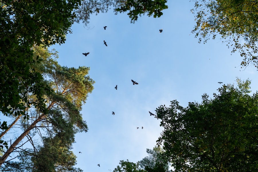 &nu;&upsilon;&chi;&tau;&epsilon;&rho;ί&delta;&epsilon;&sigmaf;