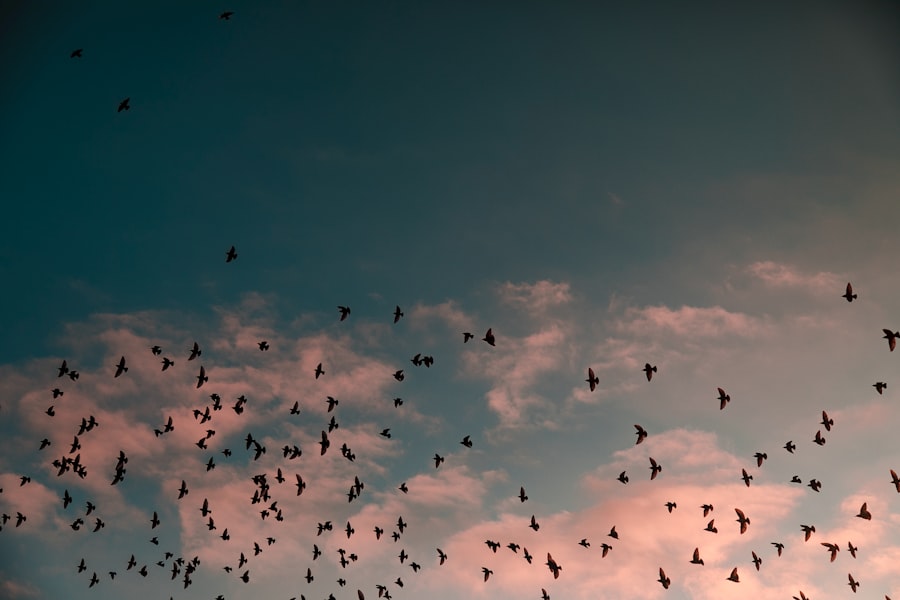 &nu;&upsilon;&chi;&tau;&epsilon;&rho;ί&delta;&epsilon;&sigmaf;