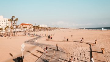 Γιατί η στρουνθοκάμηλος χώνει το κεφάλι στο χώμα;