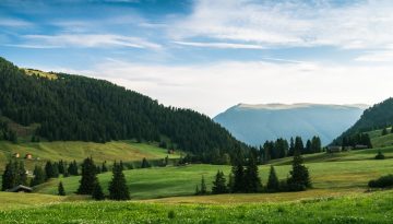 Γιατί χοροπηδάει ο λαγός;