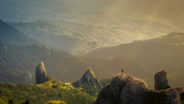 Γιατί ο τρυποκάρυδος σκαλίζει κορμούς δέντρων;