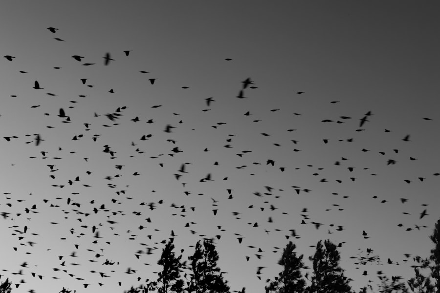 Photo &nu;&upsilon;&chi;&tau;&epsilon;&rho;ί&delta;&epsilon;&sigmaf;