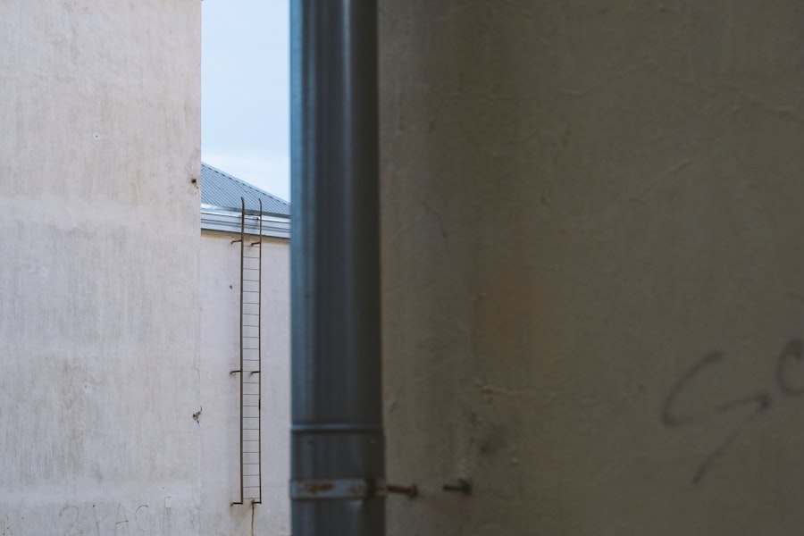 Photo &chi;&epsilon;&lambda;&iota;&delta;ό&nu;&iota;&alpha;