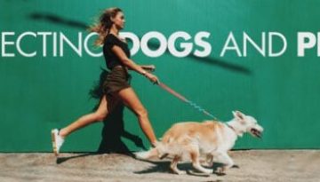 ZeeDog : Για Πρώτη Φορά στην Ελλάδα