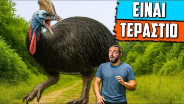 &Tau;&omicron; &Mu;&epsilon;&gamma;&alpha;&lambda;ύ&tau;&epsilon;&rho;&omicron; &Pi;&omicron;&upsilon;&lambda;ί &Sigma;&tau;&omicron;&nu; &Kappa;ό&sigma;&mu;&omicron;