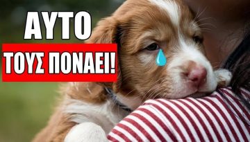 10 &Kappa;&alpha;&theta;&eta;&mu;&epsilon;&rho;&iota;&nu;ά &Pi;&rho;ά&gamma;&mu;&alpha;&tau;&alpha; &Pi;&omicron;&upsilon; &Pi;&lambda;&eta;&gamma;ώ&nu;&omicron;&upsilon;&nu; &Tau;&alpha; &Sigma;&upsilon;&nu;&alpha;&iota;&sigma;&theta;ή&mu;&alpha;&tau;&alpha; &Tau;&omicron;&upsilon; &Sigma;&kappa;ύ&lambda;&omicron;&upsilon; &Sigma;&omicron;&upsilon;