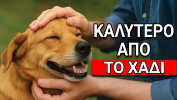 10 &Pi;&rho;ά&gamma;&mu;&alpha;&tau;&alpha; &Pi;&omicron;&upsilon; &Omicron; &Sigma;&kappa;ύ&lambda;&omicron;&sigmaf; &Sigma;&omicron;&upsilon; &Alpha;&gamma;&alpha;&pi;ά &Pi;&epsilon;&rho;&iota;&sigma;&sigma;ό&tau;&epsilon;&rho;&omicron; &Alpha;&pi;ό &Tau;&omicron; &Nu;&alpha; &Tau;&omicron;&nu; &Chi;&alpha;ϊ&delta;&epsilon;ύ&epsilon;&iota;&sigmaf;!