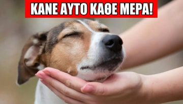 &Mu;&epsilon;&tau;&alpha;&mu;ό&rho;&phi;&omega;&sigma;&epsilon; &Tau;&eta; &Zeta;&omega;ή &Tau;&omicron;&upsilon; &Sigma;&kappa;ύ&lambda;&omicron;&upsilon; &Sigma;&omicron;&upsilon; &Mu;&epsilon; &Alpha;&upsilon;&tau;ά &Tau;&alpha; 10 &Mu;&upsilon;&sigma;&tau;&iota;&kappa;ά &Pi;&rho;ά&gamma;&mu;&alpha;&tau;&alpha;