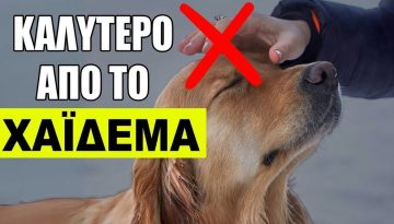 10 &Pi;&rho;ά&gamma;&mu;&alpha;&tau;&alpha; &Pi;&omicron;&upsilon; &Omicron; &Sigma;&Kappa;&Upsilon;&Lambda;&Omicron;&Sigma; &Sigma;&Omicron;&Upsilon; &Alpha;&Gamma;&Alpha;&Pi;&Alpha; &Pi;&Epsilon;&Rho;&Iota;&Sigma;&Sigma;&Omicron;&Tau;&Epsilon;&Rho;&Omicron; &Alpha;&pi;ό &Tau;&omicron; &Nu;&alpha; &Tau;&omicron;&nu; &Chi;&Alpha;Ϊ&Delta;&Epsilon;&Upsilon;&Epsilon;&Iota;&Sigma;!