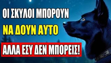 11 &Pi;&Alpha;&Rho;Ά&Xi;&Epsilon;&Nu;&Alpha; &Pi;&Rho;Ά&Gamma;&Mu;&Alpha;&Tau;&Alpha; &pi;&omicron;&upsilon; &Mu;Ό&Nu;&Omicron; &omicron;&iota; &sigma;&kappa;ύ&lambda;&omicron;&iota; &mu;&pi;&omicron;&rho;&omicron;ύ&nu; &nu;&alpha; &delta;&omicron;&upsilon;&nu; &kappa;&alpha;&iota; &nu;&alpha; &alpha;&kappa;&omicron;ύ&sigma;&omicron;&upsilon;&nu;, &alpha;&lambda;&lambda;ά &epsilon;&sigma;ύ ό&chi;&iota;!