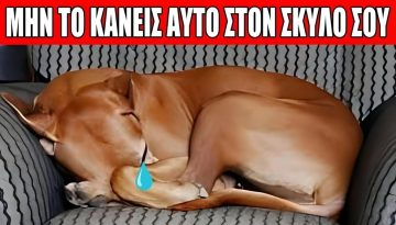 15 &Lambda;ά&theta;&eta; &Pi;&omicron;&upsilon; &Kappa;ά&nu;&omicron;&upsilon;&nu; &tau;&omicron;&nu; &Sigma;&kappa;ύ&lambda;&omicron; &Sigma;&omicron;&upsilon; &nu;&alpha; &Pi;&iota;&sigma;&tau;&epsilon;ύ&epsilon;&iota; Ό&tau;&iota; &Delta;&epsilon;&nu; &tau;&omicron;&nu; &Alpha;&gamma;&alpha;&pi;ά&sigmaf;