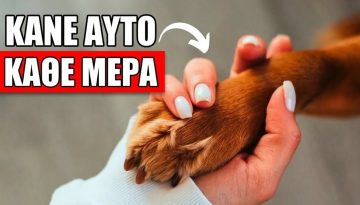 5 &Mu;&upsilon;&sigma;&tau;&iota;&kappa;ά &Pi;&omicron;&upsilon; &Mu;&Epsilon;&Tau;&Alpha;&Mu;&Omicron;&Rho;&Phi;&Omega;&Nu;&Omicron;&Upsilon;&Nu; &Tau;&eta; &Zeta;&omega;ή &Tau;&omicron;&upsilon; &Sigma;&kappa;ύ&lambda;&omicron;&upsilon; &Sigma;&omicron;&upsilon;! (&Delta;&epsilon;&nu; &Theta;&alpha; &Pi;&iota;&sigma;&tau;έ&psi;&epsilon;&iota;&sigmaf; &Tau;&omicron; #3)