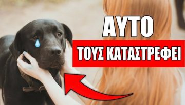 7 &Epsilon;&kappa;&pi;&lambda;&eta;&kappa;&tau;&iota;&kappa;&omicron;ί &Tau;&rho;ό&pi;&omicron;&iota; &Mu;&epsilon; &Tau;&omicron;&upsilon;&sigmaf; &Omicron;&pi;&omicron;ί&omicron;&upsilon;&sigmaf; &Pi;&lambda;&eta;&gamma;ώ&nu;&epsilon;&iota;&sigmaf; &Tau;&alpha; &Sigma;&upsilon;&nu;&alpha;&iota;&sigma;&theta;ή&mu;&alpha;&tau;&alpha; &Tau;&omicron;&upsilon; &Sigma;&kappa;ύ&lambda;&omicron;&upsilon; &Sigma;&omicron;&upsilon;
