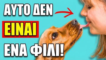Ό&tau;&alpha;&nu; &omicron;&iota; &Sigma;&kappa;ύ&lambda;&omicron;&iota; &Sigma;&epsilon; &Gamma;&Lambda;&Epsilon;Ί&Phi;&Omicron;&Upsilon;&Nu;, &Alpha;&upsilon;&tau;ό &Epsilon;ί&nu;&alpha;&iota; &Alpha;&upsilon;&tau;ό &Pi;&omicron;&upsilon; &Sigma;&eta;&mu;&alpha;ί&nu;&epsilon;&iota; &Pi;&Rho;&Alpha;&Gamma;&Mu;&Alpha;&Tau;&Iota;&Kappa;Ά (&Delta;&Epsilon;&Nu; &epsilon;ί&nu;&alpha;&iota; &chi;&alpha;&rho;&iota;&tau;&omega;&mu;έ&nu;&omicron;!)