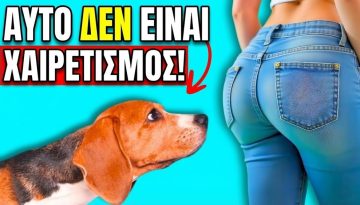 Ό&tau;&alpha;&nu; &omicron;&iota; &Sigma;&kappa;ύ&lambda;&omicron;&iota; &Mu;&Upsilon;&Rho;Ί&Zeta;&Omicron;&Upsilon;&Nu; &tau;&omicron;&nu; &Pi;&iota;&sigma;&iota;&nu;ό &Sigma;&omicron;&upsilon;, &Alpha;&upsilon;&tau;ό &Epsilon;ί&nu;&alpha;&iota; &Alpha;&upsilon;&tau;ό &Pi;&omicron;&upsilon; &Sigma;&eta;&mu;&alpha;ί&nu;&epsilon;&iota; &Pi;&rho;&alpha;&gamma;&mu;&alpha;&tau;&iota;&kappa;ά